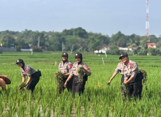 Inovasi Pelatihan Siswa Polwan 2025: Dari Pengabdian Desa hingga SPPG POLRI